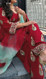 Punjabi Suit #2