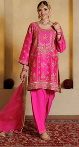Punjabi Suit #2