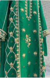Punjabi Suit #2
